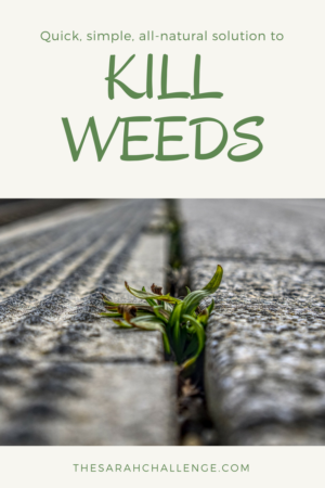 kill weeds